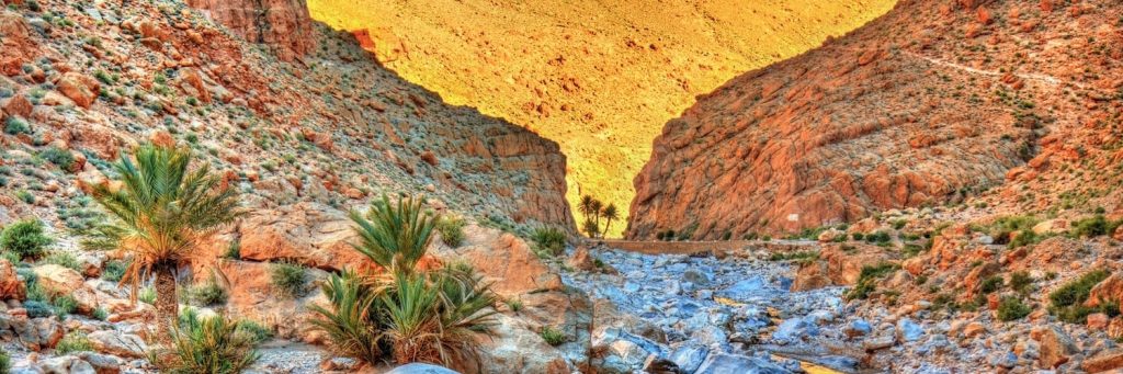 Les Gorges Du Todgha : Une Merveille Naturelle Dans Le Sud Marocain ...