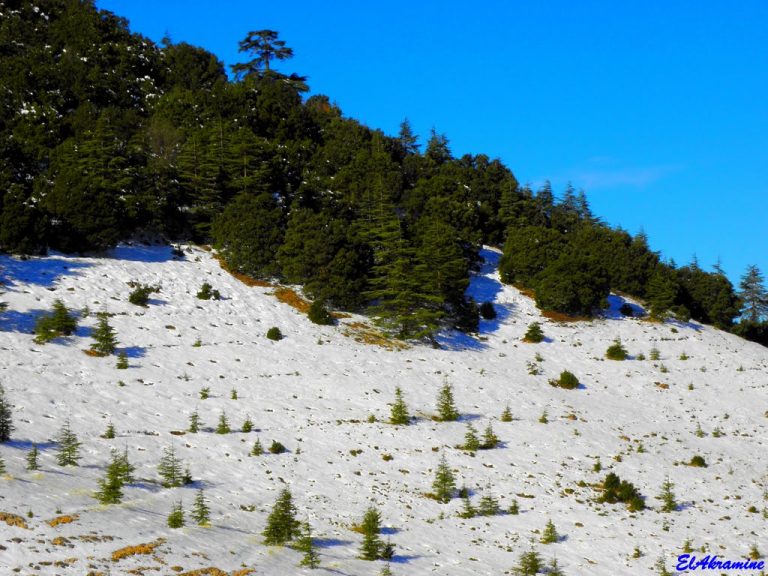 La station de ski de Michlifen à Ifrane – Tourisme au Maroc