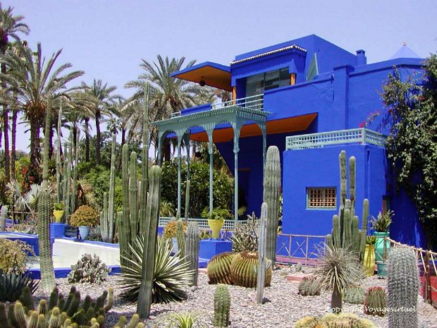 Les Jardins Majorelle Un Trésor Des Plantes Exotiques à Marrakech Tourisme Au Maroc